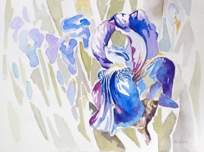 Aquarellbild dreier abstrakter  Irisblüten in Blautönen